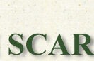 Scarmin