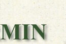Scarmin